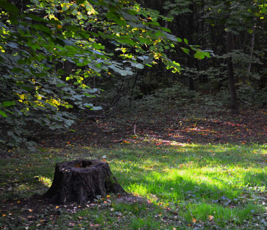 �������� ������ ����� Mikhail Novikov �� PhotoGeek.ru #������ ��� �������