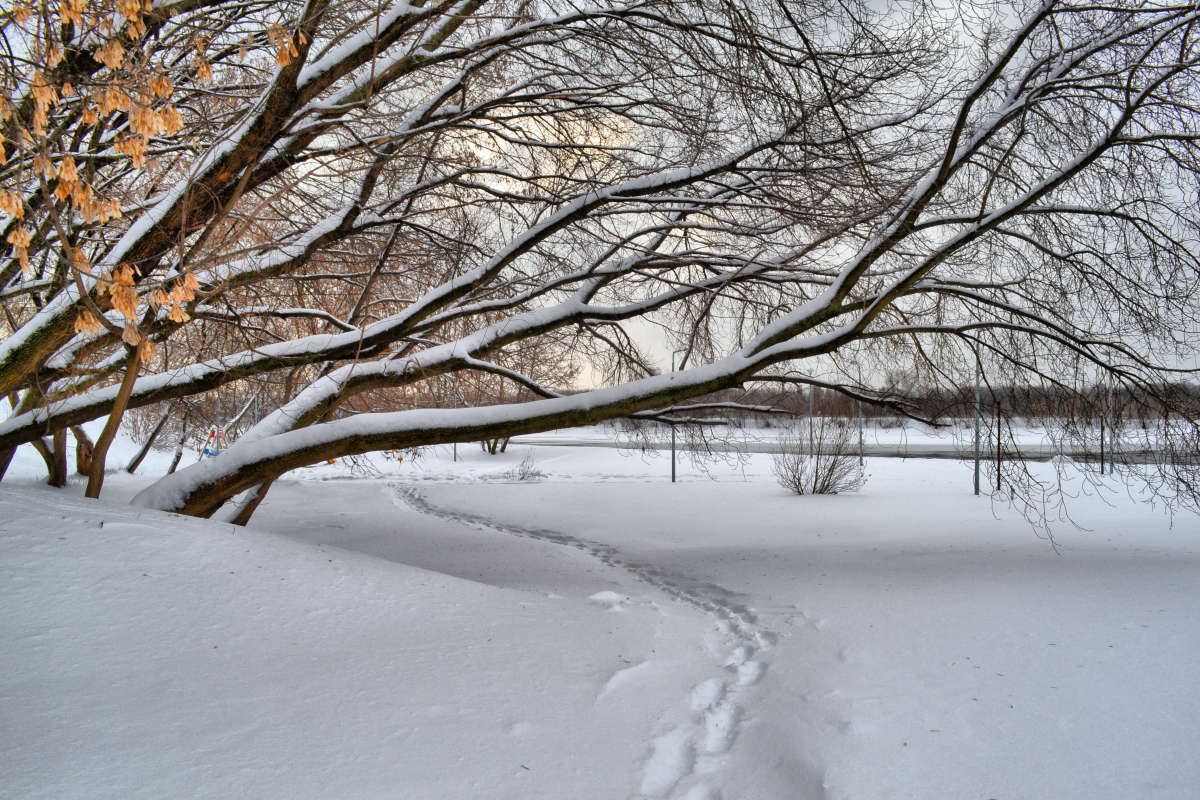 �������� ����� Mikhail Novikov �� PhotoGeek.ru #������ ��� �������