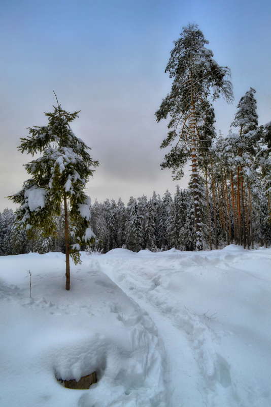 ������ ��� ����� Mikhail Novikov �� PhotoGeek.ru #������ ��� �������