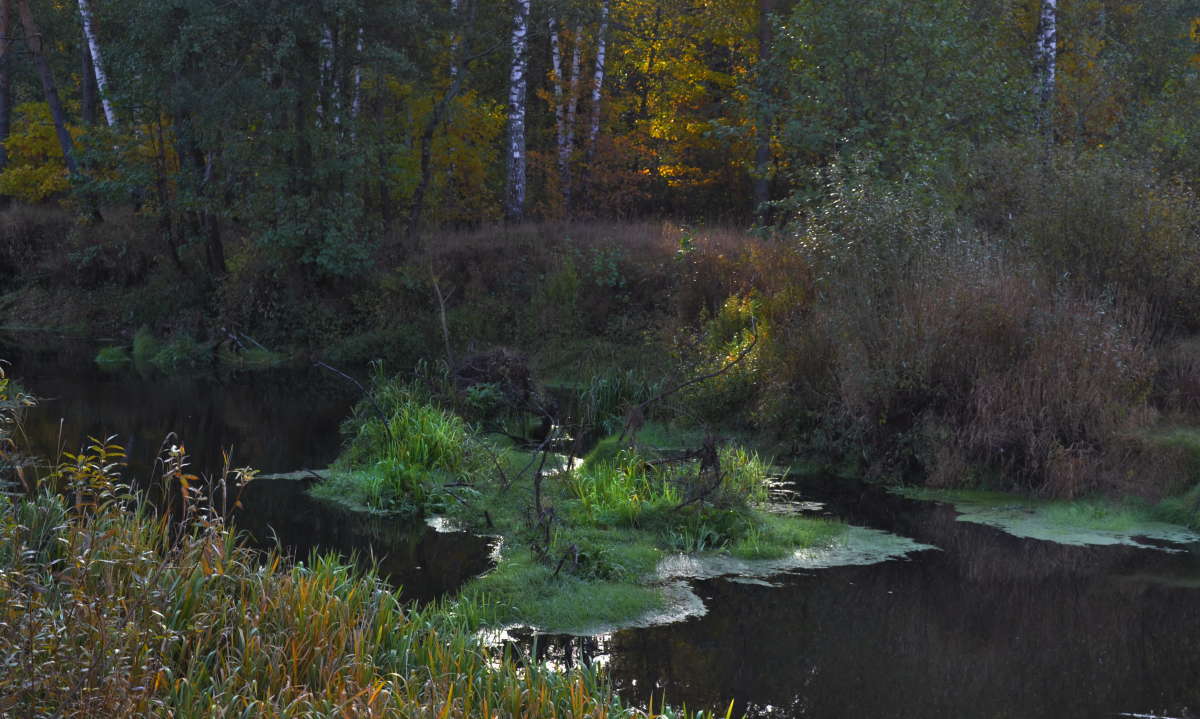 ����� ������� ����� Mikhail Novikov �� PhotoGeek.ru #������ ��� �������