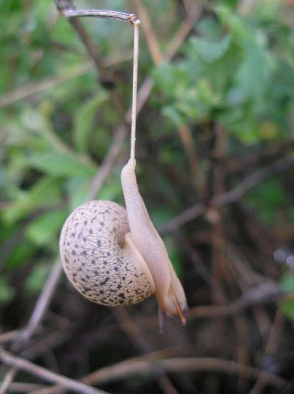 ������� ����� ���� ���  �� PhotoGeek.ru #�����