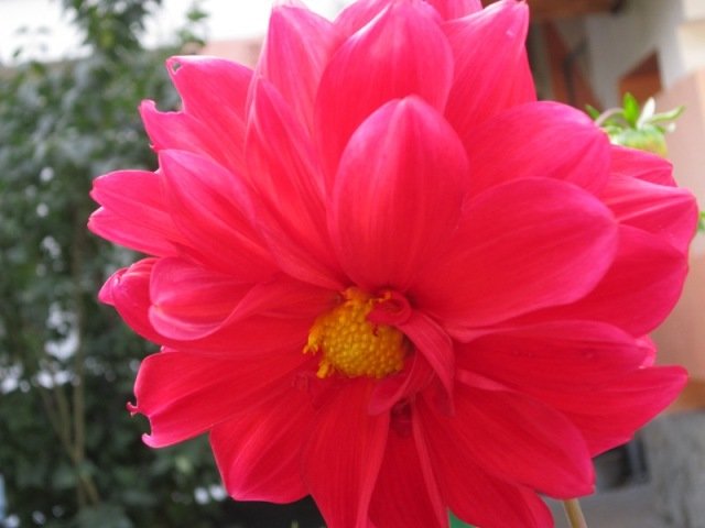 ������� ������ ����� ������� ������� �� PhotoGeek.ru #����� #������ ��� ������� #������� #�������� #����� �������������� #������� #������ #����� #�����. �����