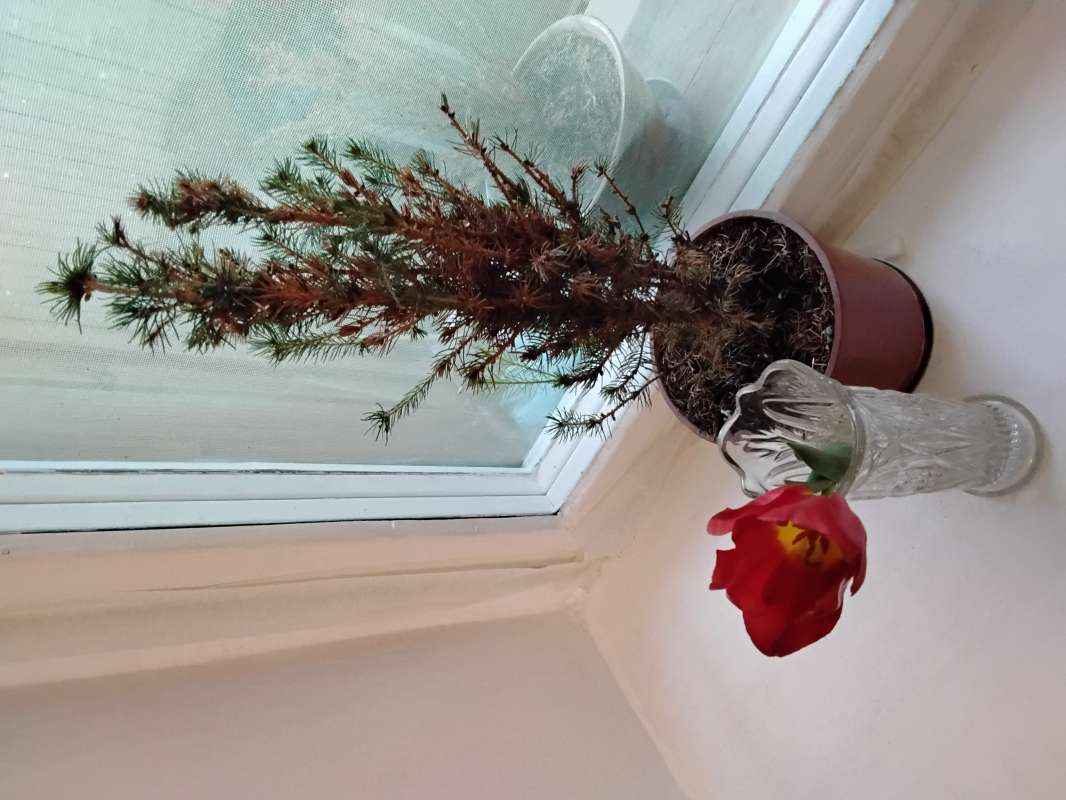 ������ � ���������� ����� ������� ������� �� PhotoGeek.ru #��������� #������� #������ #������ ������� #����� #����� ��������