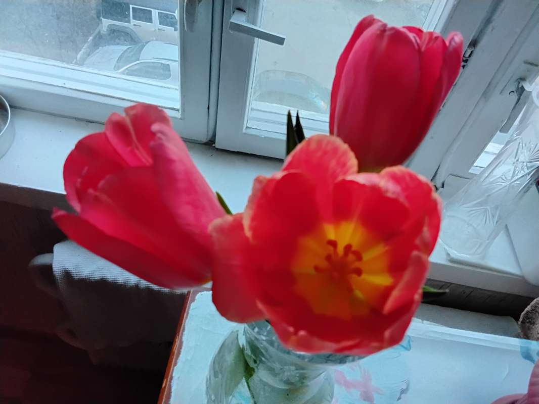 ��� ������� ������ ����� ������� ������� �� PhotoGeek.ru #����� #��������� #����� #������� #������ #������� #������ #�����