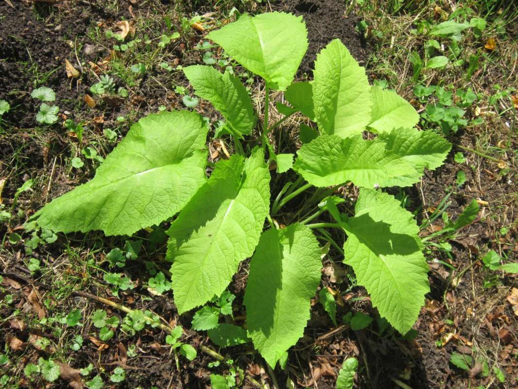 ������ �������� ����� ������� ������� �� PhotoGeek.ru #����� #������ ��� ������� #����� �������������� #������ #���� #������ #��������� #�������� #����� #����� #�����