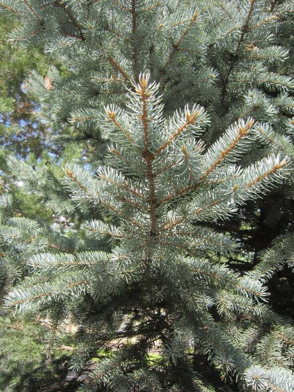 ������ ����� ������� ������� �� PhotoGeek.ru #����� #������ ��� ������� #������ #������� #��� #���� #������ #����� �������������� #��������� #������� �������