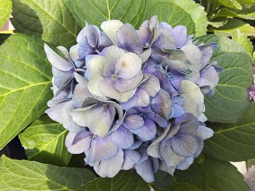 ��������� ����� ����� ������� ������� �� PhotoGeek.ru #����� #������ ��� ������� #����� �������������� #��������� #�������� #����� #������ #�����