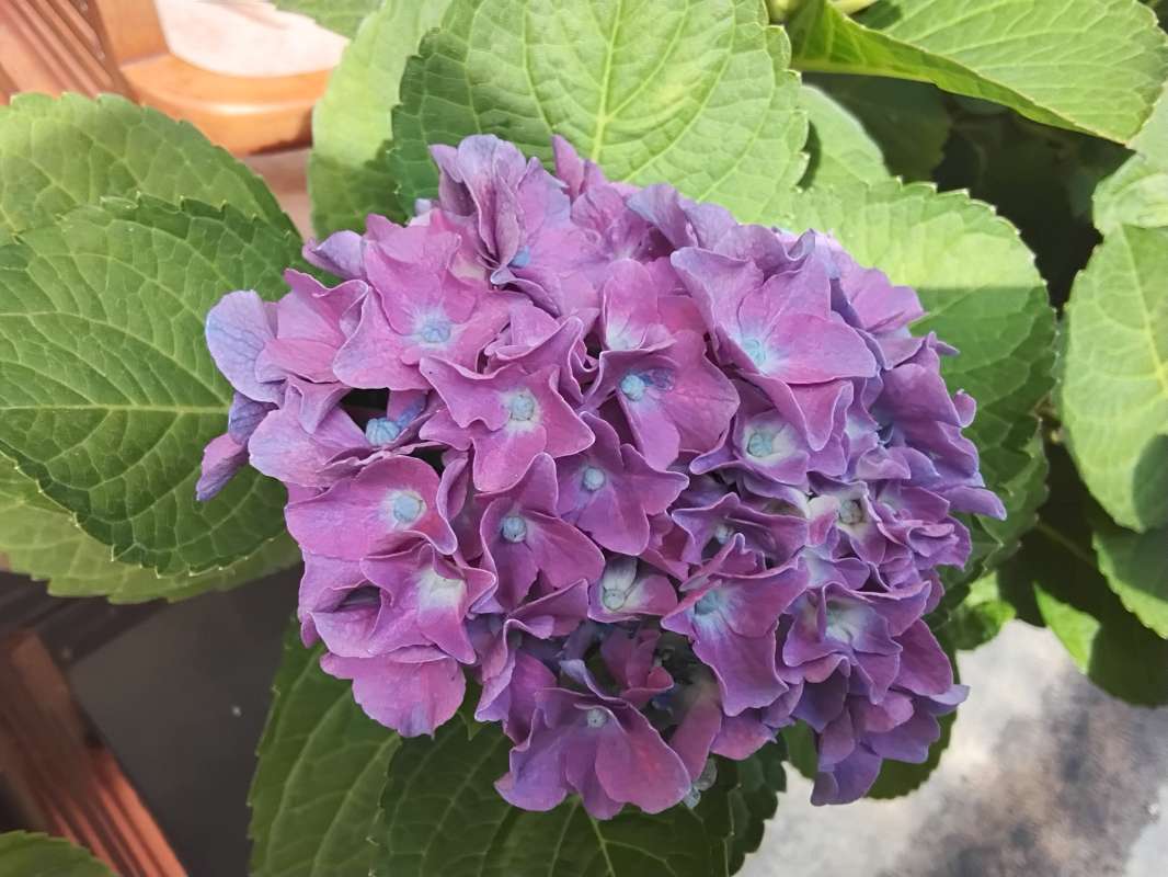 �������� ����� ����� ������� ������� �� PhotoGeek.ru #����� #������ ��� ������� #����� �������������� #�������� #�������� #����� #������ #�����