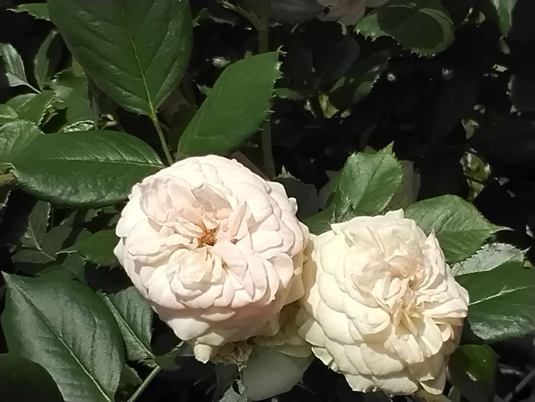 ����� ����� ����� ������� ������� �� PhotoGeek.ru #����� #������ ��� ������� #����� �������������� #�������� #�������� #����� #������ #�����