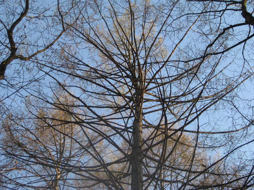       PhotoGeek.ru # # # # # #  # # # #