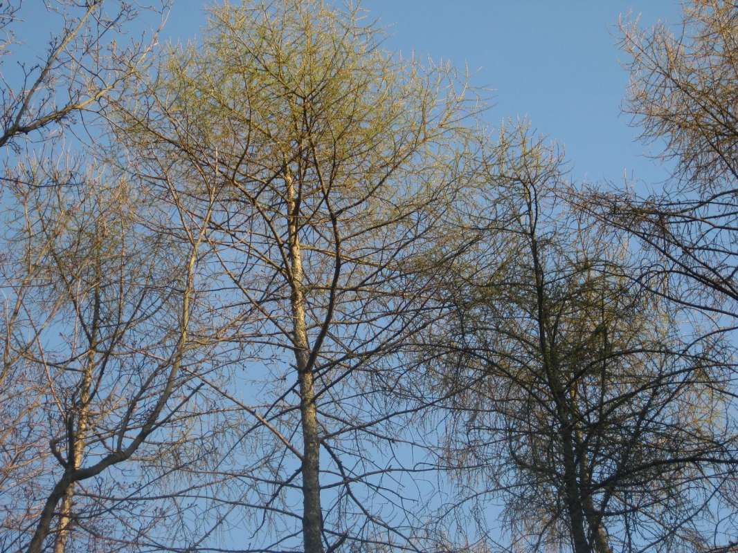       PhotoGeek.ru # # # # # # # # #