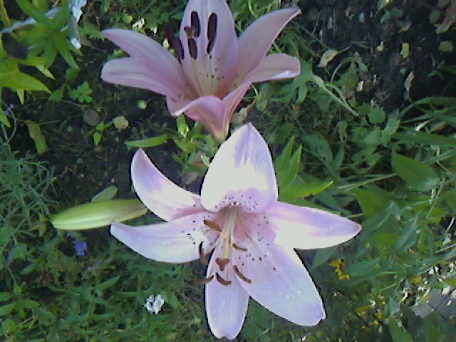 ����� ����� ������� ������� �� PhotoGeek.ru #����� #���� #����� #����� #������ #�����