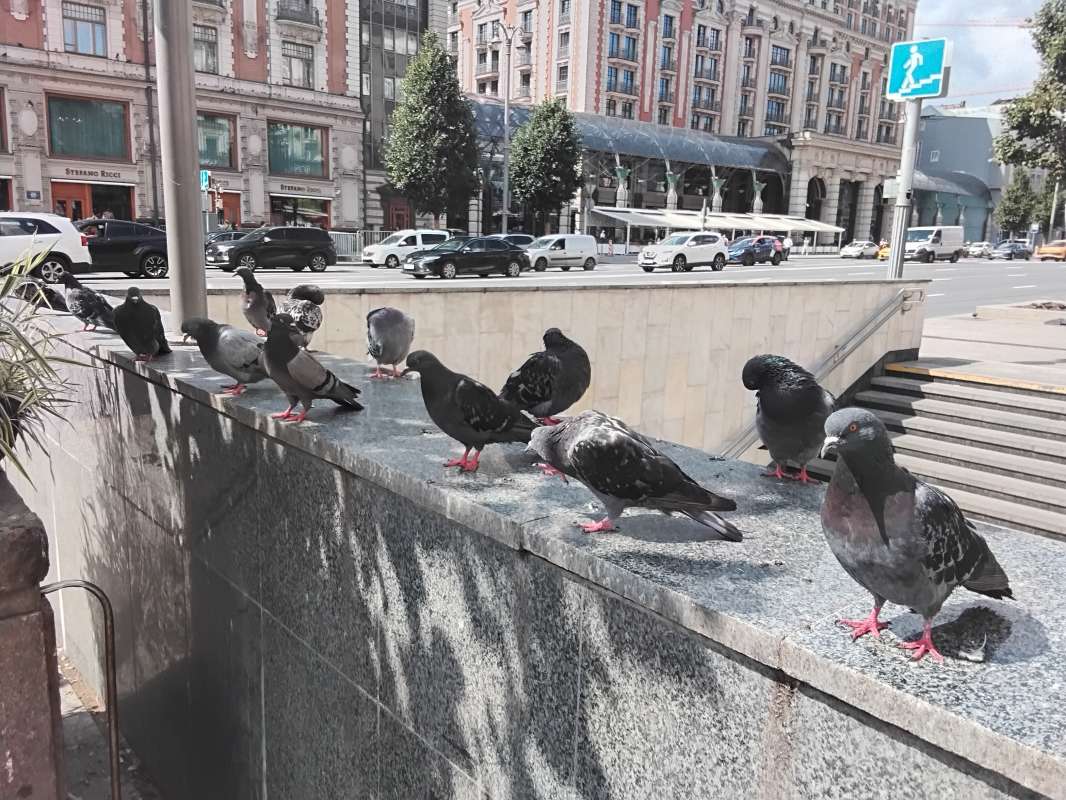 ��������� ����� ������� ������� �� PhotoGeek.ru #����� #�������� ��� #������ #��������� ����� #��������� ����� #����� #����� #���� � ����