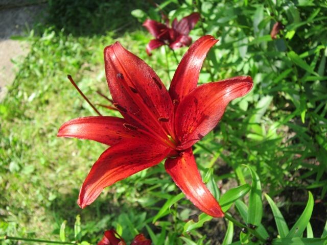 ������� ������ ����� ������� ������� �� PhotoGeek.ru #����� #������ ��� ������� #����� �������������� #������� #����� #����� #����� #����� �����