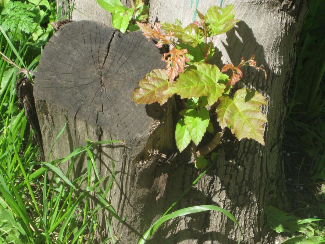        PhotoGeek.ru #   # #  # # # # # # # # #   #