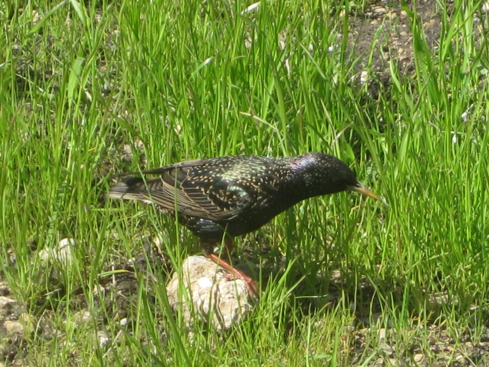 ��������� ����� ������� ������� �� PhotoGeek.ru #����� #������ #����� #����� #������� #������� #�����