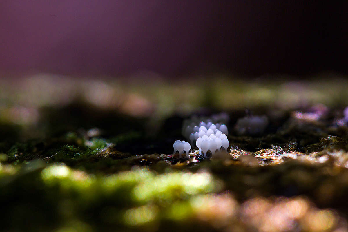 ���������� ��� �����.... ����� Oleg Rezenow �� PhotoGeek.ru #����� #����� ��������������