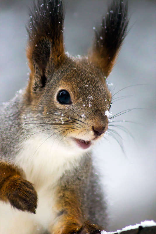 ������, � �������! ����� Oleg Rezenow �� PhotoGeek.ru #�������� ��� #����� ��� ��� ���������