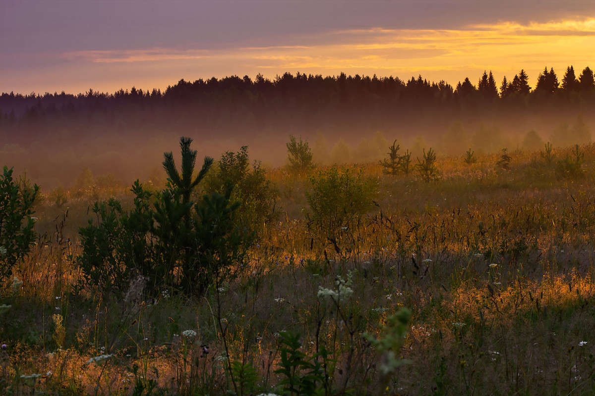 *** ����� Oleg Rezenow �� PhotoGeek.ru #������ ��� �������