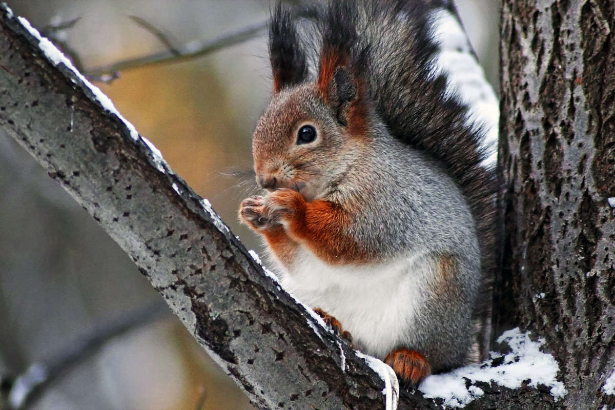 *** ����� Oleg Rezenow �� PhotoGeek.ru #�������� ��� #����� ��� ��� ���������