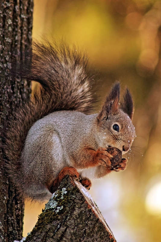 *** ����� Oleg Rezenow �� PhotoGeek.ru #�������� ��� #����� ��� ��� ���������