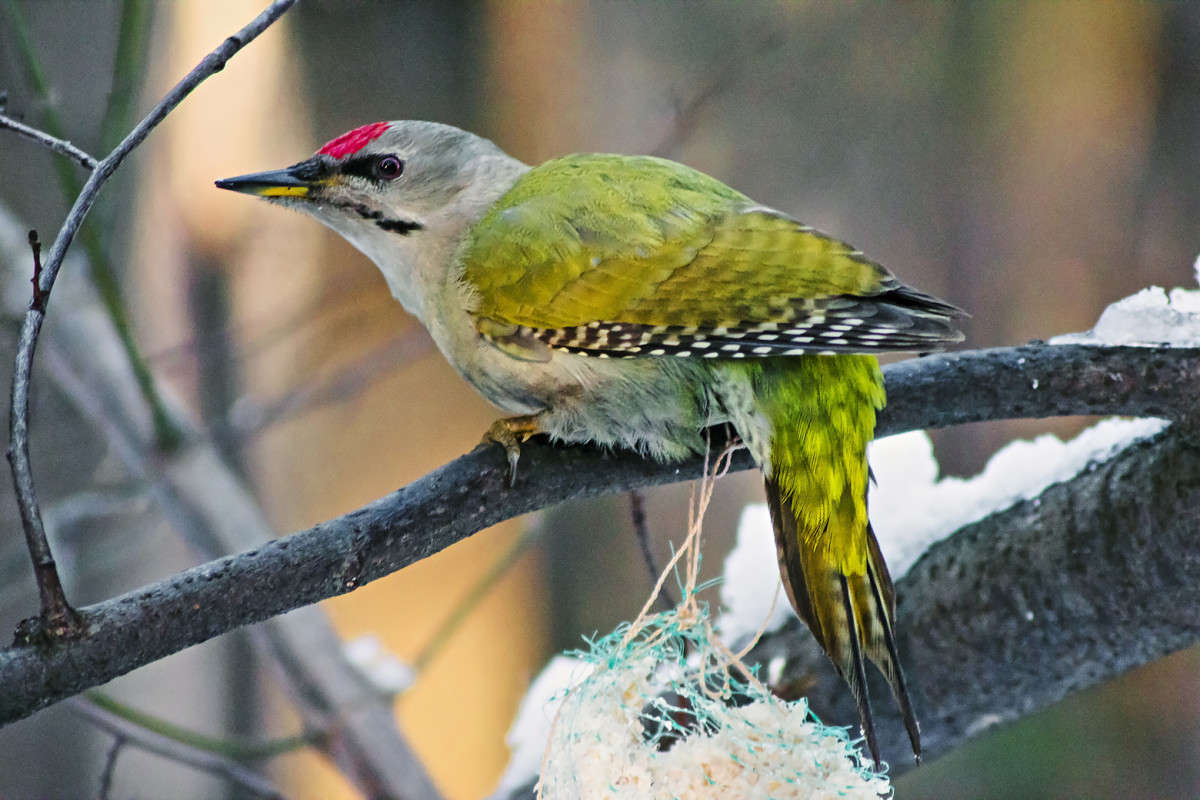 ����� ����� ����� Oleg Rezenow �� PhotoGeek.ru #�������� ��� #����� ��� ��� ���������