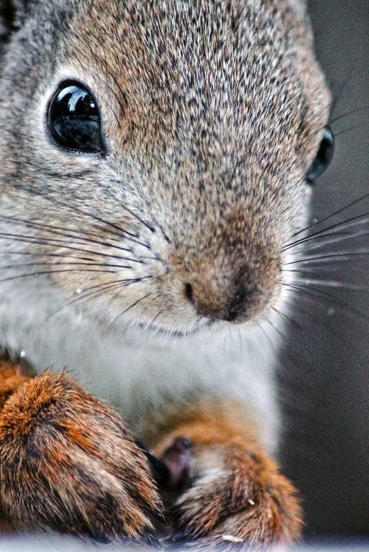 *** ����� Oleg Rezenow �� PhotoGeek.ru #�������� ��� #����� ��� ��� ���������