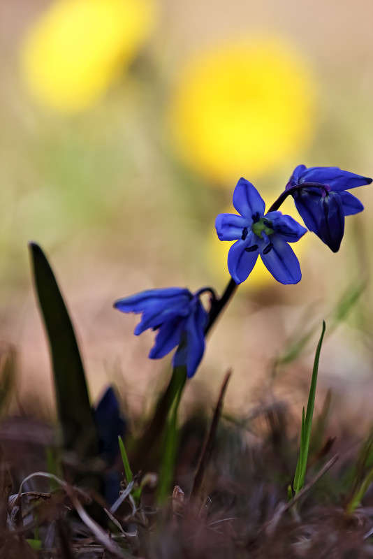 ����� ����� Oleg Rezenow �� PhotoGeek.ru #����� #����� ��������������