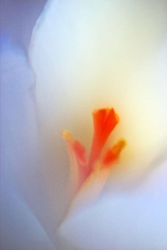 ����� ����� Oleg Rezenow �� PhotoGeek.ru #����� #����� ��������������