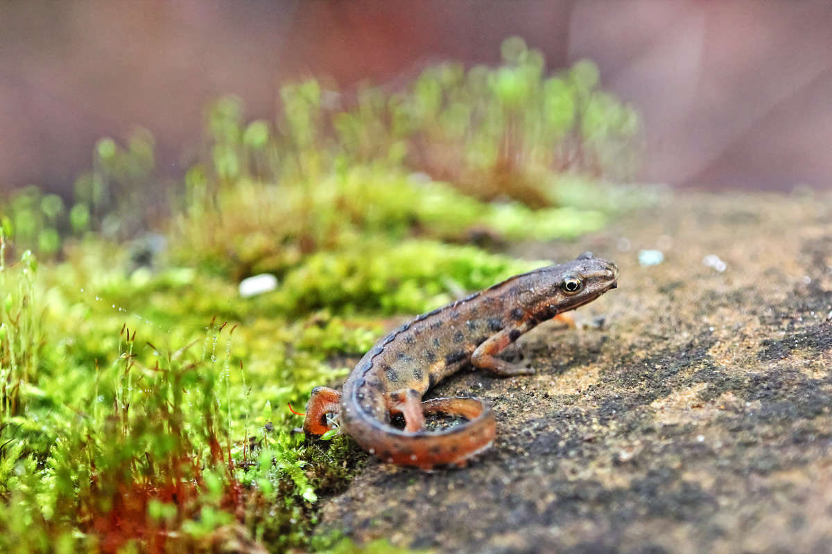 ������ ����� Oleg Rezenow �� PhotoGeek.ru #�������� ��� #����� ��� ��� ���������