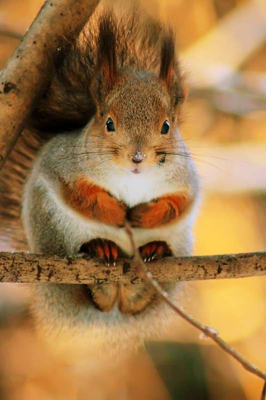 ����� ����� Oleg Rezenow �� PhotoGeek.ru #�������� ���