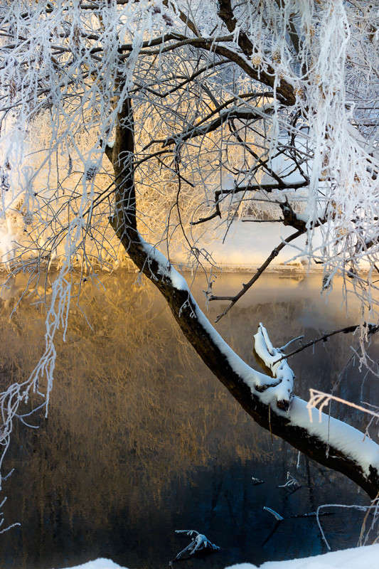 *** ����� Oleg Rezenow �� PhotoGeek.ru #������ ��� �������