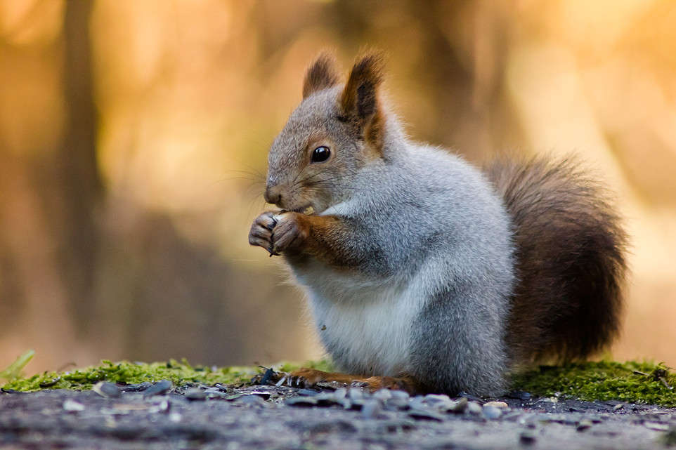 *** ����� Oleg Rezenow �� PhotoGeek.ru #�������� ��� #����� ��� ��� ���������