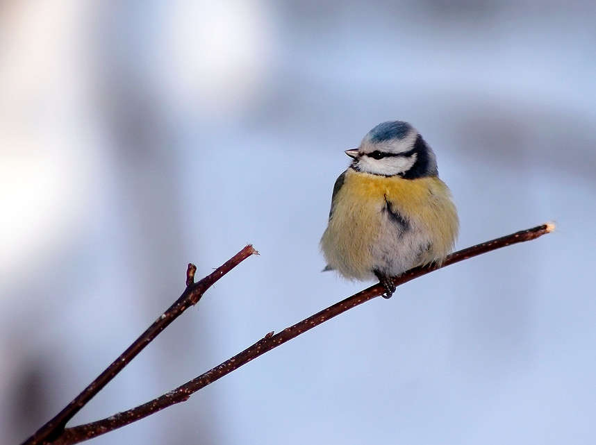 *** ����� Oleg Rezenow �� PhotoGeek.ru #�������� ��� #����� ��� ��� ���������