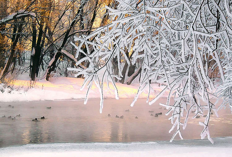 ������ � ������� ����� ����� Oleg Rezenow �� PhotoGeek.ru #������ ��� ������� #����� ��������