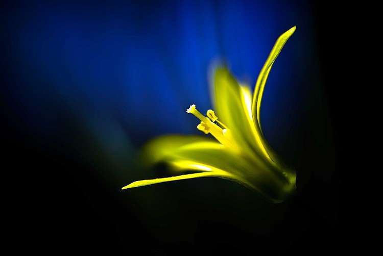 *** ����� Oleg Rezenow �� PhotoGeek.ru #����� #����� ��������������