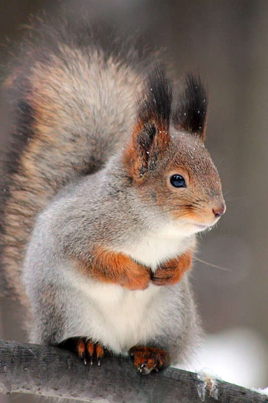 ���-�� � ������.... ����� Oleg Rezenow �� PhotoGeek.ru #�������� ��� #����� ��� ��� ���������