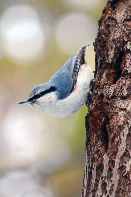 ������� ����� Oleg Rezenow �� PhotoGeek.ru #�������� ��� #����� ��� ��� ���������