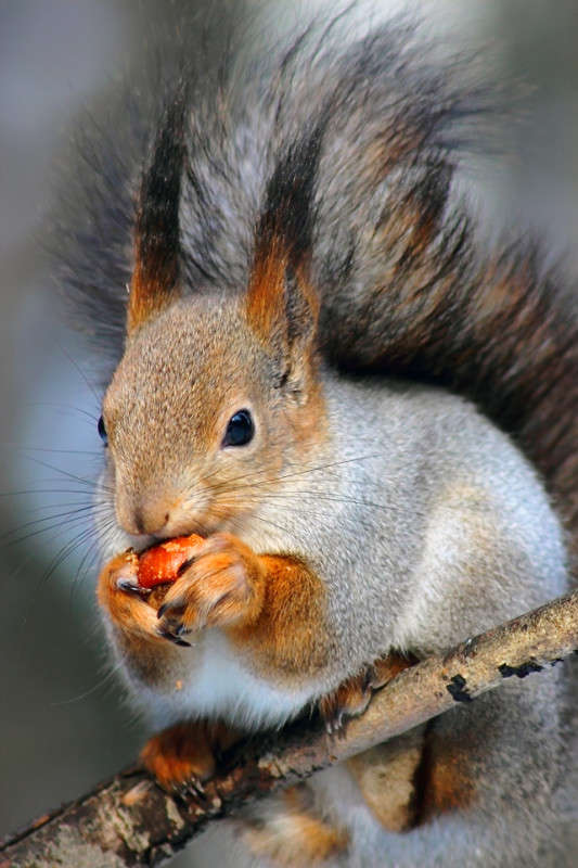 *** ����� Oleg Rezenow �� PhotoGeek.ru #�������� ��� #����� ��� ��� ���������