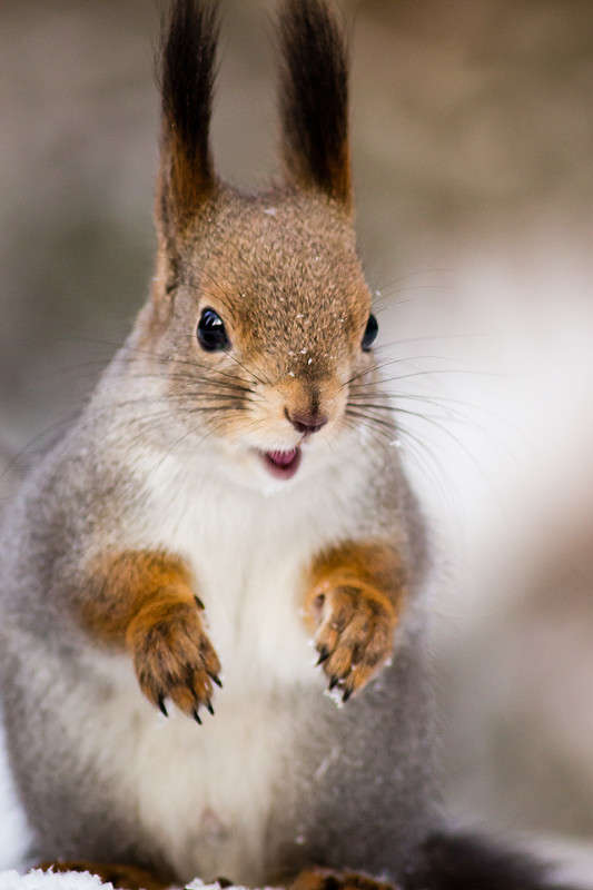 *** ��-���� ����� Oleg Rezenow �� PhotoGeek.ru #�������� ��� #����� ��� ��� ���������