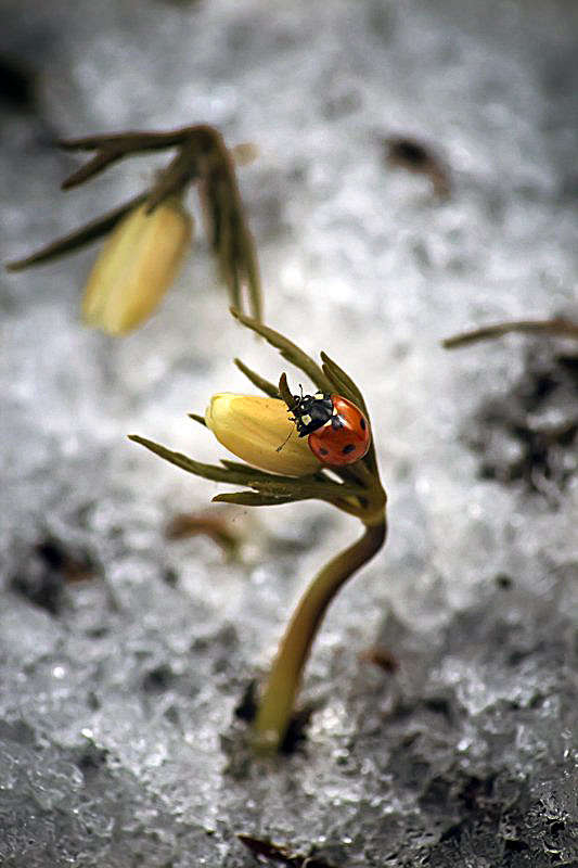 ��������� ����� Oleg Rezenow �� PhotoGeek.ru #����� #����� �������������� #���������