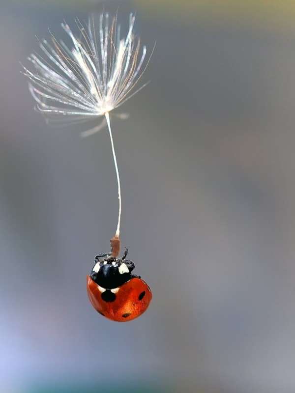 �������� ����� ����� Oleg Rezenow �� PhotoGeek.ru #����� #���������