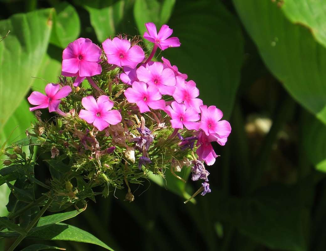 �����, ����� ... 3 ����� Natali  ��������� �� PhotoGeek.ru #����� ��������������