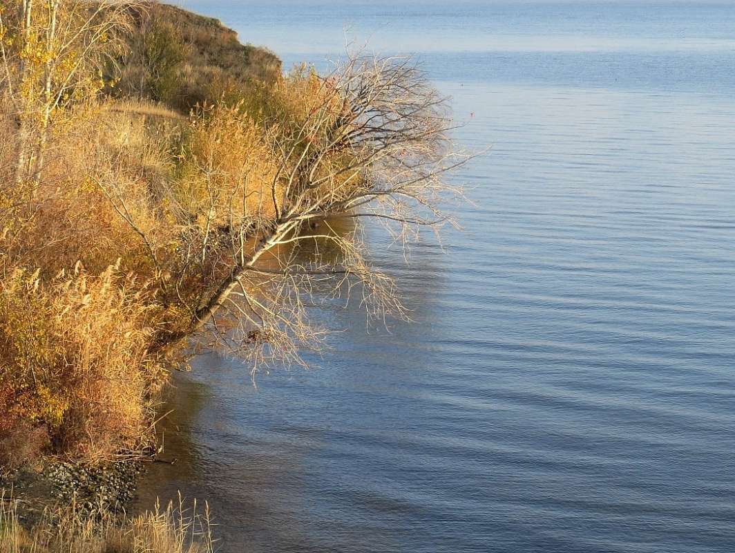 .  .  Natali chek   PhotoGeek.ru #  