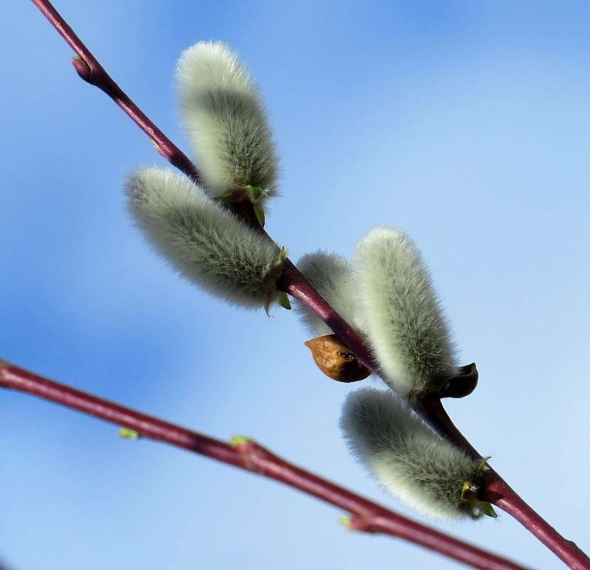 ���� ����� Natali  ��������� �� PhotoGeek.ru #������ ��� ������� #����� ��������������