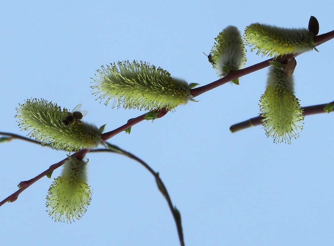 ���� 2 ����� Natali  ��������� �� PhotoGeek.ru #������ ��� ������� #����� ��������������