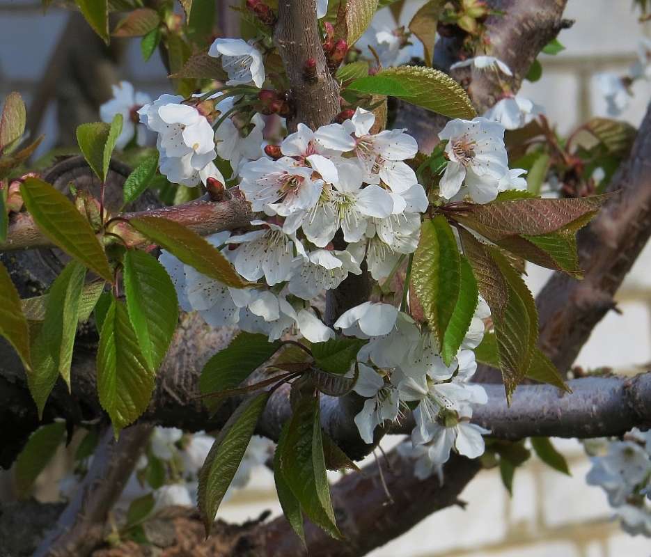 ������ (3) ����� Natali  ��������� �� PhotoGeek.ru #������ ��� ������� #����� ��������������