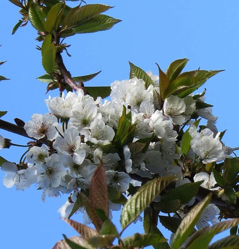 ������ 5 ����� Natali  ��������� �� PhotoGeek.ru #������ ��� ������� #����� ��������������