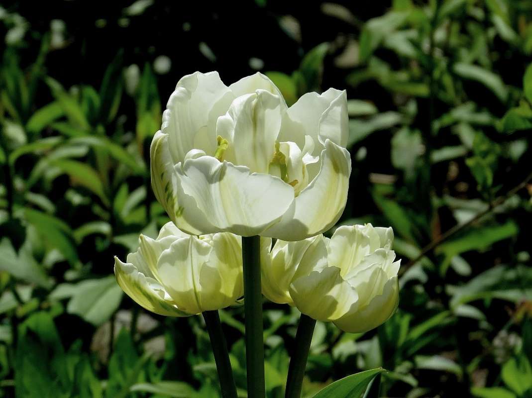 � ��������� ����� Natali  ��������� �� PhotoGeek.ru #������ ��� ������� #����� ��������������