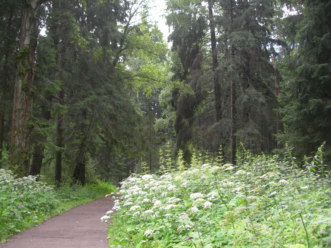 ... ����� �����  �� PhotoGeek.ru #������ ��� �������